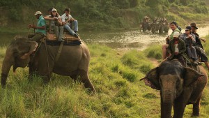 Chitwan-safari-nepal_966x543