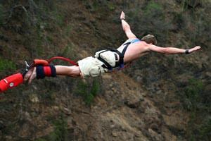 bungy_b